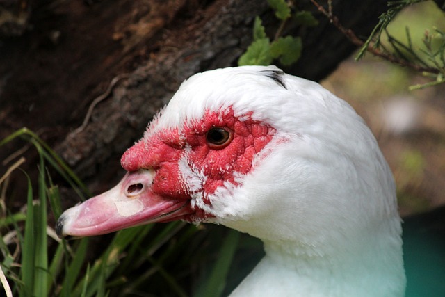 巴克利談未來未定 ESPN無爭議但不想當工作狂.