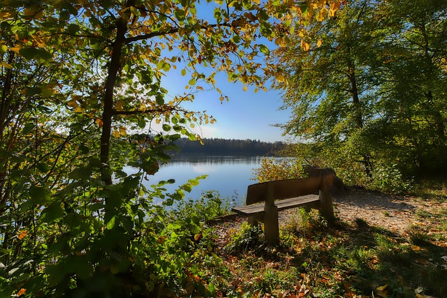 NBA尼克斯vs76人：布伦森关键传球稳住局面，阿努诺比末节发力，尼克斯 105-91 终结 76 人连败.