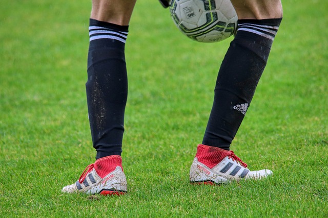 大放异彩 大放异彩