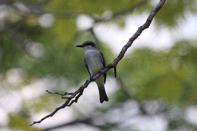 待一场常规